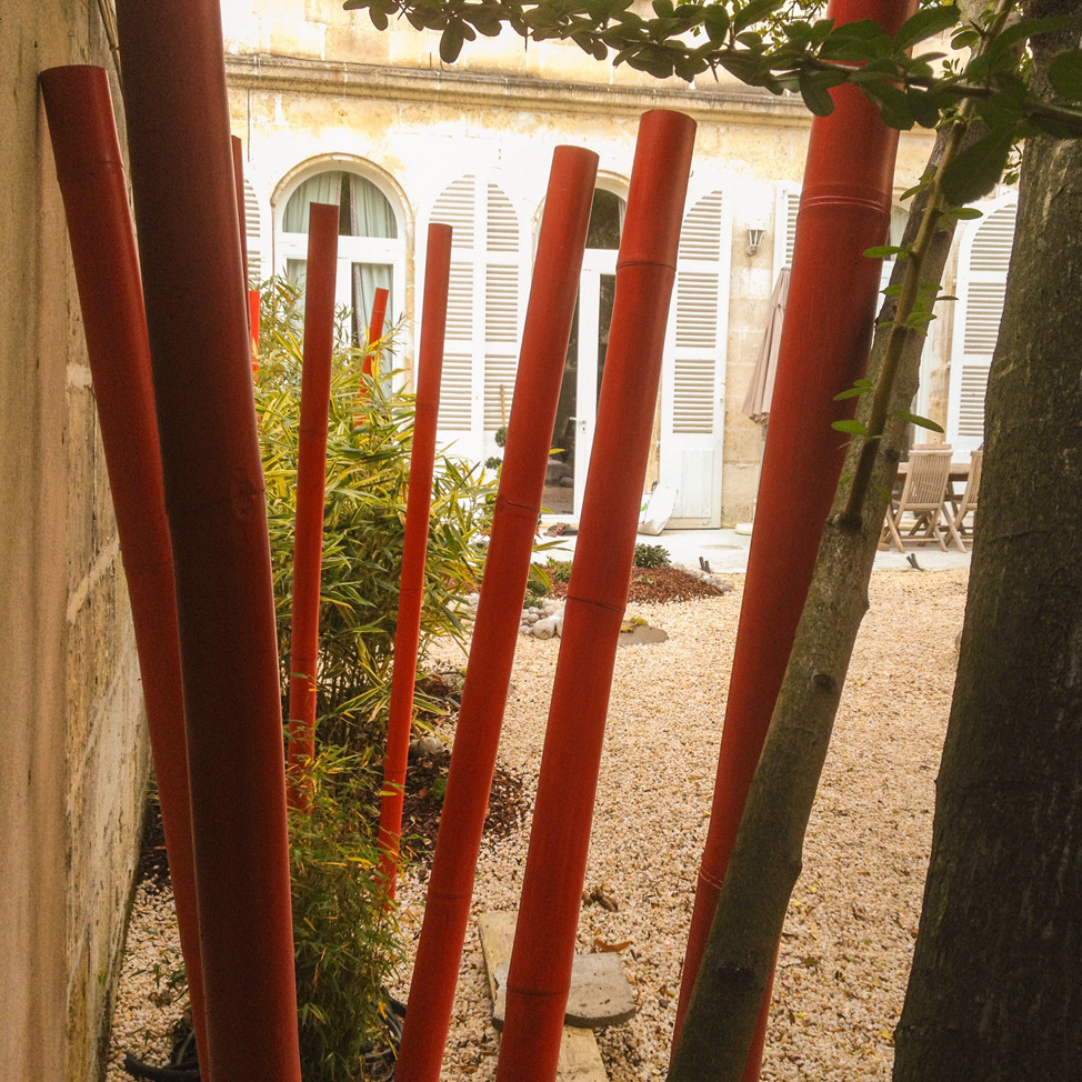 Jardin avec bambous rouges et maison en fond.