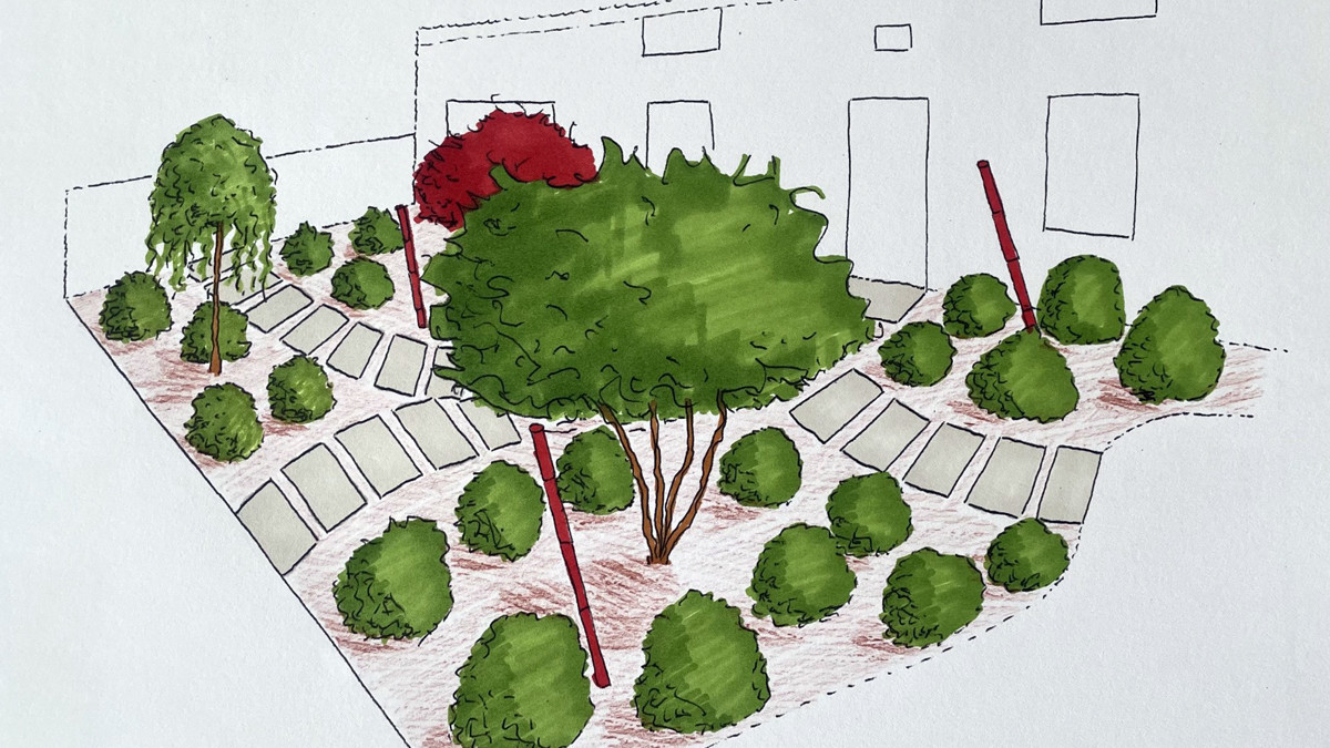 Plan de jardin avec arbustes et chemin.