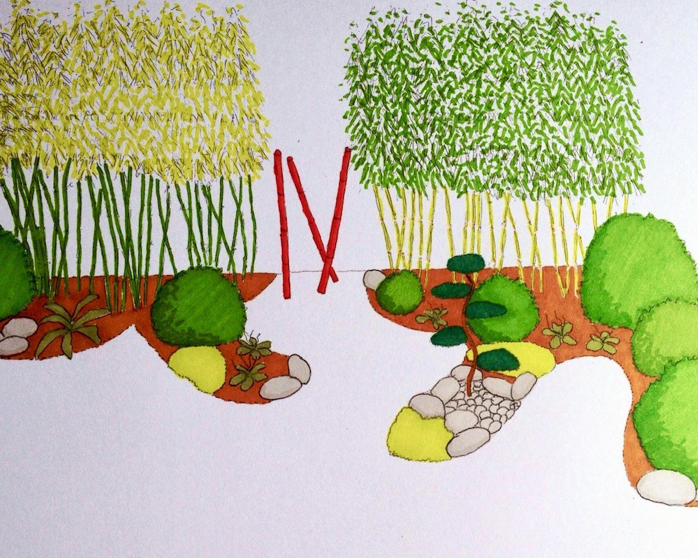 Illustration de jardin avec bambous et buissons.